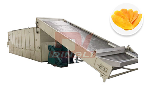 Dingli: China’s leading professional manufacturer of fruit and vegetable dryers