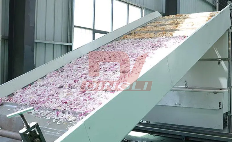  Understanding the Benefits of an Onion Dryer Machine